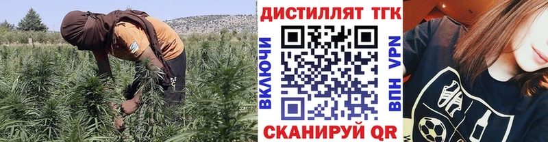 магазин    Анжеро-Судженск  Дистиллят ТГК жижа 